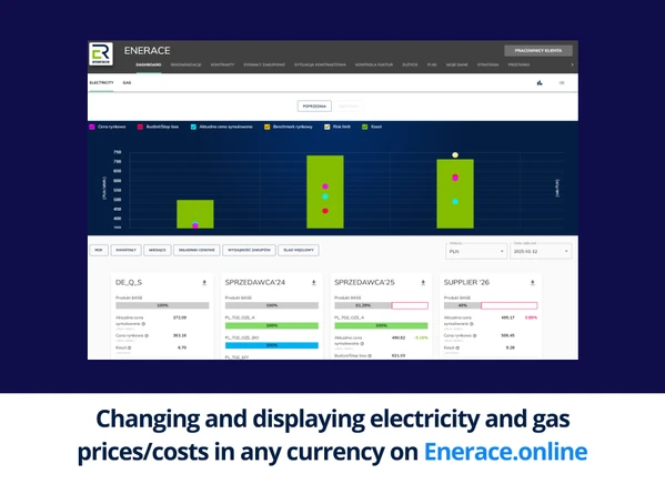 New feature in Enerace.Online